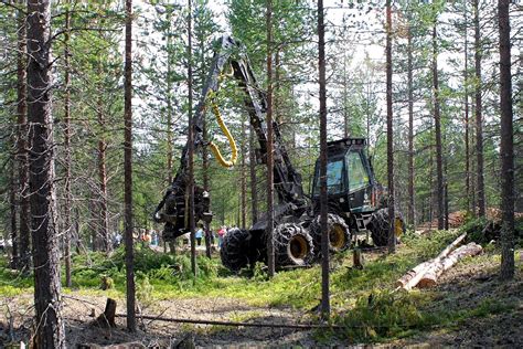 sallan yhteismetsä|Sallan yhteismetsästä myynnissä ”poikkeuksellisen。